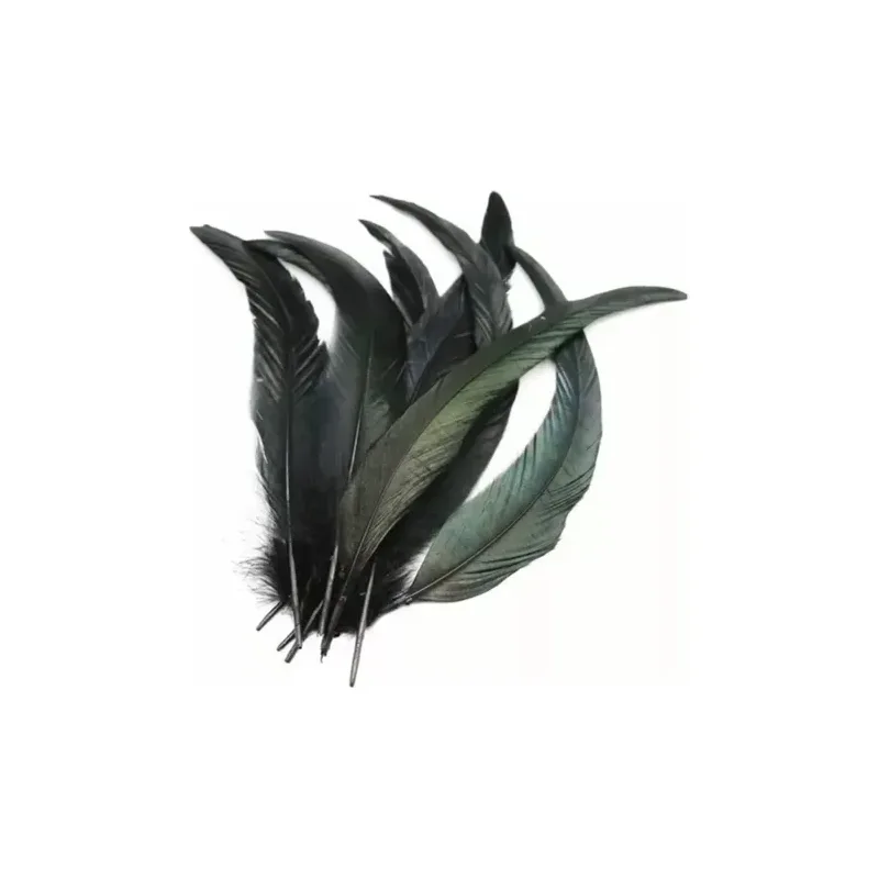 Pluma Gallo Gde