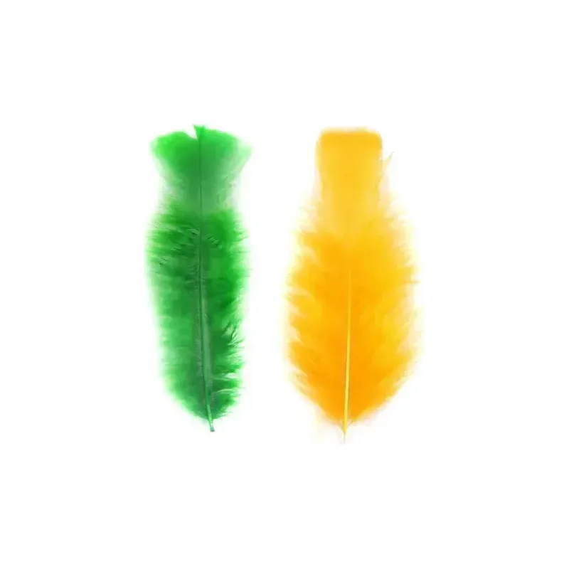 Pluma de Pollo