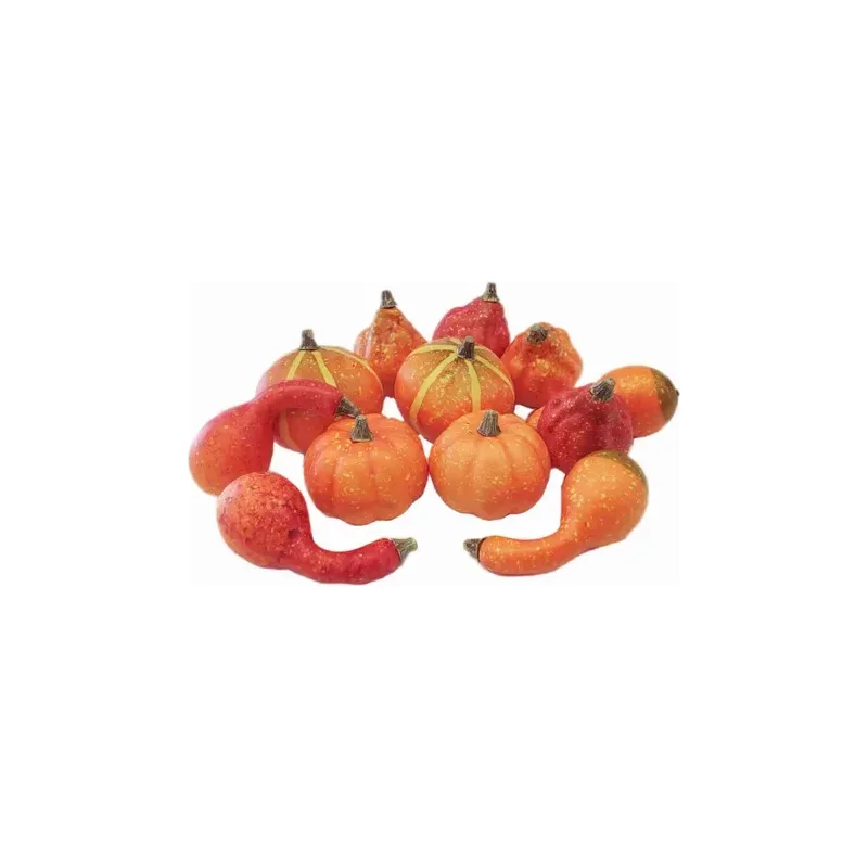 Calabaza Mini
