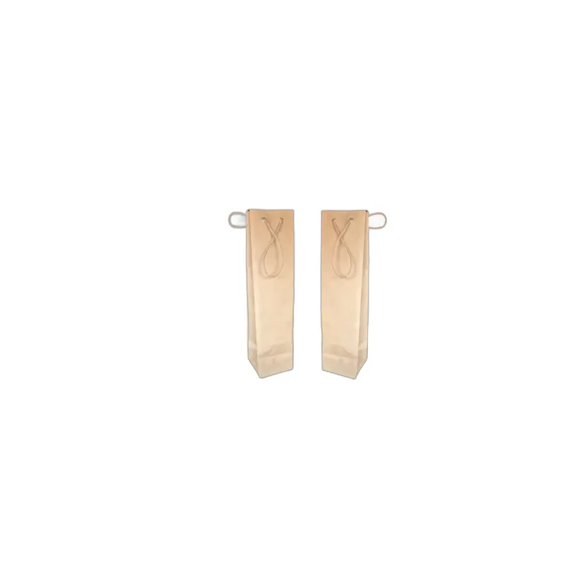Bolsa kraft natural botella grande C/10