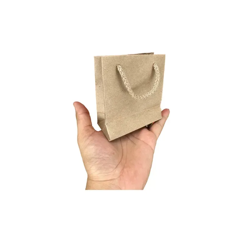 Bolsa kraft natural chica C/10